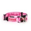 Ezydog Collar Double Up M Pink Camo -Ezydog 0e5e962409502bfa59ecaf173167a493.image .225x271