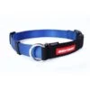 Ezydog Collar Checkmate M Blue 2 Ezydog Collar Checkmate M Blue -Ezydog 154df67c4a2448557e63fa7722e2b9ce.image .225x271