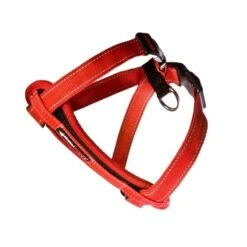 EzyDog Chest-Plate Dog Harness - Red (X-Small)