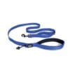 Ezydog Leash Trainer S W/Traffic Control 12 S Blue -Ezydog 244a477d733fe6d0a7e06fba783955a6.image .225x271