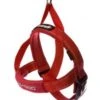 Ezydog Harness QF M Red -Ezydog 381e901d3688361ef3e5fe33b623b4f6.image .225x271