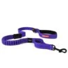 Ezydog Zero Shock Lead Purple 48" -Ezydog 41608 1 1