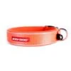 Ezydog Collar Classic XS Orange 2 Ezydog Collar Classic XS Orange -Ezydog 468c4e5a1ebc7fa16a8e0790b72b6180.image .225x271