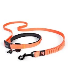 Ezydog Leash Road Runner 25 Orange