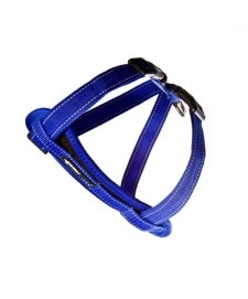 Ezydog Harness CP M Blue
