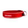 Ezydog Collar Classic XL Red -Ezydog 649fdf9aba3de0fa4e366825eff8d4f4.image .225x271