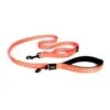 Ezydog Leash Trainer S W/Traffic Control 12 S Orange 2 Ezydog Leash Trainer S W/Traffic Control 12 S Orange -Ezydog 7c33674fcfbd363a818bad76eb03e012.image .225x271