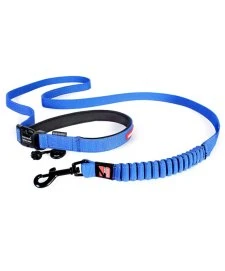 Ezydog Leash Road Runner 25 Blue