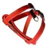 Ezydog Harness CP L Red -Ezydog 8e66302fced191d094f24bf32da1b190.image .225x271
