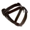Ezydog Harness CP XS Black 1 Ezydog Harness CP XS Black -Ezydog 94a89fc5d5c874d2f989395ef165f066.image .225x271