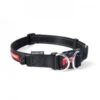Ezydog Collar Double Up S Black -Ezydog ad4da908afc6a6495c5d9c84ab88074d.image .225x271