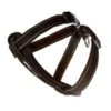 Ezydog Harness CP 2XL Black -Ezydog b9add8e1fde0d8c5f0e2259597b95964.image .225x271