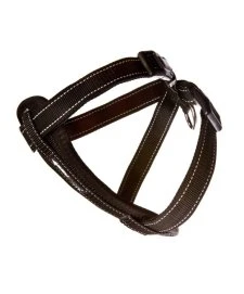 Ezydog Harness CP 2XL Black