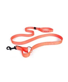 Ezydog Leash Vario 4 25 S Orange