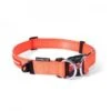 Ezydog Collar Double Up XL Orange -Ezydog de2c02e1bf1eee2538472191d2d78a70.image .225x271