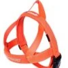 Ezydog Harness QF XS Orange 1 Ezydog Harness QF XS Orange -Ezydog e640ce778d0201e53191a8dca5d46d5a.image .225x271