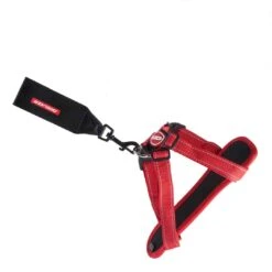 EzyDog Chest-Plate Dog Harness - Red (Large)