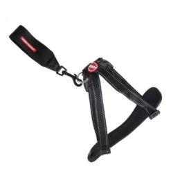 EzyDog Chest-Plate Dog Harness - Black (Large)