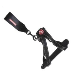 EzyDog Chest-Plate Dog Harness - Black (Medium)