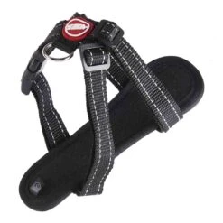 EzyDog Chest-Plate Dog Harness - Black (Small)