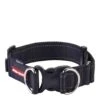 EzyDog Ezdog Double Up Dog Collar Black (Extra Large)