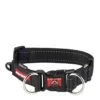 EzyDog Ezdog Double Up Dog Collar Black (Large) -Ezydog ezy dog double up collar black 1