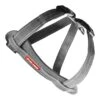 EzyDog Chest Plate Dog Harness, Grey, Extra Large -Ezydog ezydog chest plate harness grey