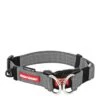 EzyDog Ezy Double Up Grey Medium Dog Collar -Ezydog ezydog grey double up collar front 2