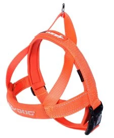 Ezydog Harness QF L Orange
