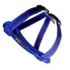 Ezydog Harness CP XS Blue -Ezydog f9410821754f30786c072e8c87114263.image .225x271