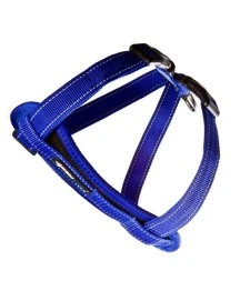 Ezydog Harness CP XS Blue